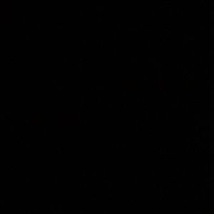 Meet your Posher, Lavaughn